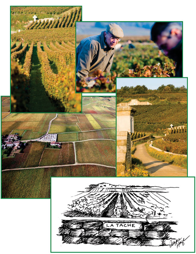 collage of several photos and drawings from book